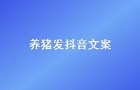 养猪发抖音文案【100句精选短句合集】