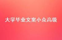 大学毕业文案小众高级【100句精选短句合集】
