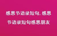 感恩节语录短句感恩朋友【精品文案100句】