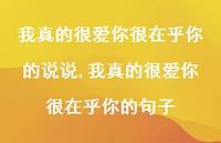 我真的很爱你很在乎你的句子(100句) 我真的很爱你很在乎你的句子(100句)