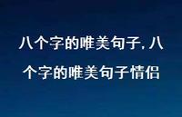 八个字的唯美句子情侣【100句文案精选】 八个字的唯美句子情侣【100句文案精选】