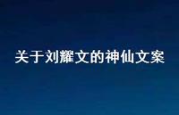 关于刘耀文的神仙文案【100句精选短句合集】 关于刘耀文的神仙文案【100句精选短句合集】