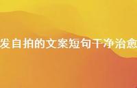 发自拍的文案短句干净治好【100句精选短句合集】