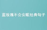 蓝玫瑰不会安眠经典句子【100句精选短句合集】 蓝玫瑰不会安眠经典句子【100句精选短句合集】