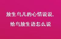 给鸟放生语怎么说(100句) 给鸟放生语怎么说(100句)