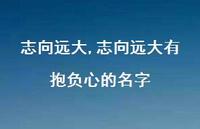志向远大有抱负心的名字【精品文案100句】