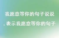 表示我愿意等你的句子(100句) 表示我愿意等你的句子(100句)