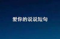 爱你的说说短句70句汇总 爱你的说说短句70句汇总
