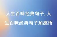 人生百味经典句子加感悟【精品文案100句】