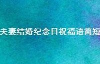 夫妻结婚纪念日祝福语简短合集58句精选