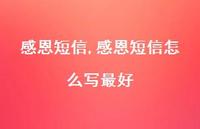 感恩短信怎么写较好【100句文案精选】