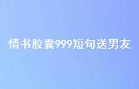 情书胶囊999短句送男友71句汇总 情书胶囊999短句送男友71句汇总