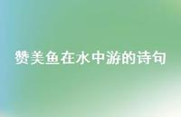 赞美鱼在水中游的诗句(精选44句) 赞美鱼在水中游的诗句(精选44句)