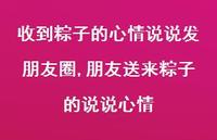 朋友送来粽子的说说心情【精选100句】