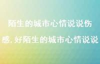 好陌生的城市心情说说(100句)