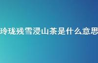 玲珑残雪浸山茶是什么意思(精选70句) 玲珑残雪浸山茶是什么意思(精选70句)