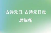 古诗元日意思解释【精品文案100句】