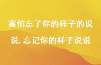 忘记你的样子说说(100句)