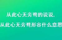 从此心无旁骛形容什么意思(100句)