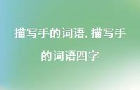 描写手的词语四字【精品文案100句】