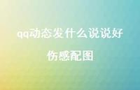 qq动态发什么说说好伤感配图41句汇总