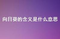 向日葵的含义是什么意思(精选47句)