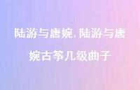 陆游与唐婉古筝几级曲子【100句文案精选】 陆游与唐婉古筝几级曲子【100句文案精选】