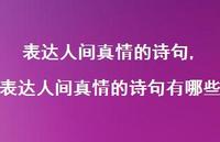 表达人间真情的诗句有哪些【100句文案精选】 表达人间真情的诗句有哪些【100句文案精选】