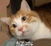 60818a3f-7c67-4c02-8fde-2fe9b37d8acb_1.jpg-s 坐了这么多次飞机,今天才知道飞机为什么都是