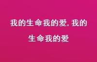 我的生命我的爱【精品文案100句】