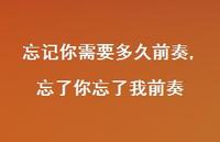 忘了你忘了我前奏(100句) 忘了你忘了我前奏(100句)