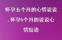怀孕5个月的说说心情短语(100句) 怀孕5个月的说说心情短语(100句)