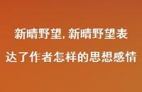 新晴野望表达了作者怎样的思想感情【100句文案精选】