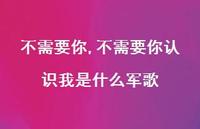 不需要你认识我是什么军歌(100句) 不需要你认识我是什么军歌(100句)