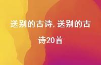 送别的古诗20首【精品文案100句】