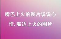嘴边上火的图片(100句)