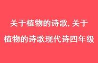 关于植物的诗歌现代诗四年级【精品文案100句】 关于植物的诗歌现代诗四年级【精品文案100句】