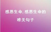 感恩生命的唯美句子【100句文案精选】