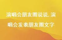演唱会发表朋友圈文字(100句)