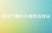 形容飞蛾扑火感情古诗词(精选72句) 形容飞蛾扑火感情古诗词(精选72句)