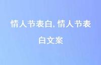 情人节表白文案【精品文案100句】