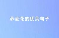 荞麦花的优美句子【100句精选短句合集】