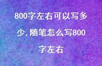 随笔怎么写800字左右【100句文案】 随笔怎么写800字左右【100句文案】