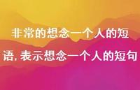 表示想念一个人的短句(100句) 表示想念一个人的短句(100句)