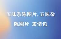 五味杂陈图片 表情包(100句) 五味杂陈图片 表情包(100句)
