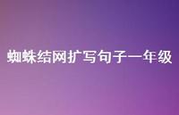 蜘蛛结网扩写句子一年级【100句精选短句合集】 蜘蛛结网扩写句子一年级【100句精选短句合集】