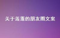 关于莲蓬的朋友圈文案(精选63句) 关于莲蓬的朋友圈文案(精选63句)