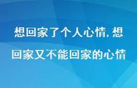 想回家又不能回家的心情(100句) 想回家又不能回家的心情(100句)