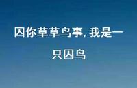 我是一只囚鸟【精品文案100句】 我是一只囚鸟【精品文案100句】