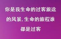 生命的旅程谁都是过客【精选100句】